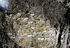 Cofflete Mill House Remains