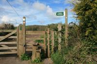 Fields above Fordbrook Farm