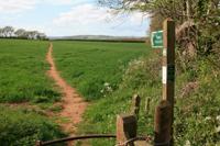 Across Cherry Tree Drive to farm lanes