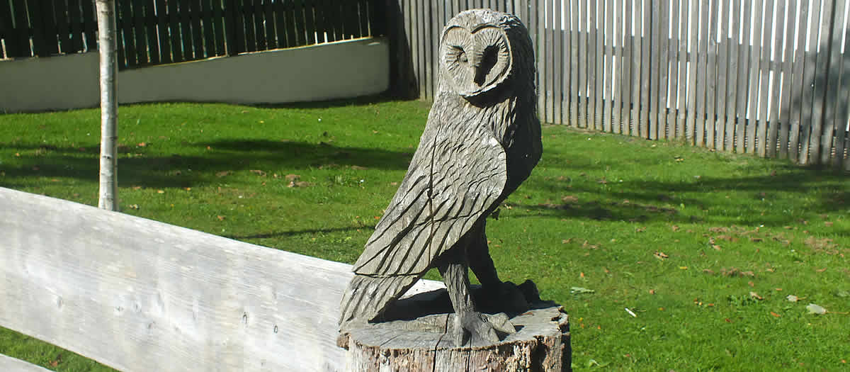 Owl Carving