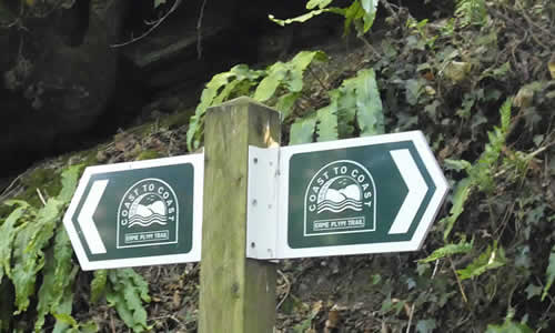 Erme Plym Trail, Brixton, Devon
