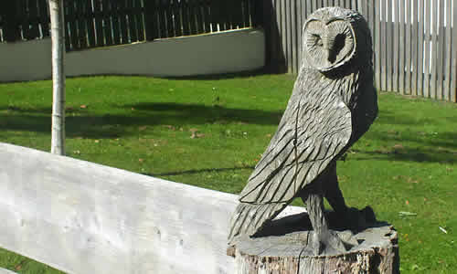 Owl Carving